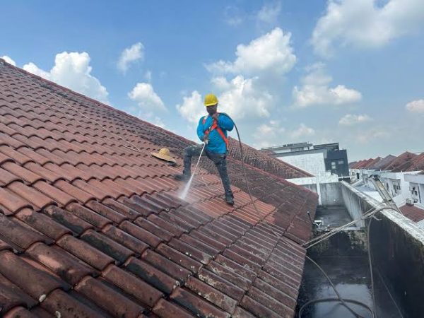 Ultimate Roof Cleaning Guide: Tips & Techniques