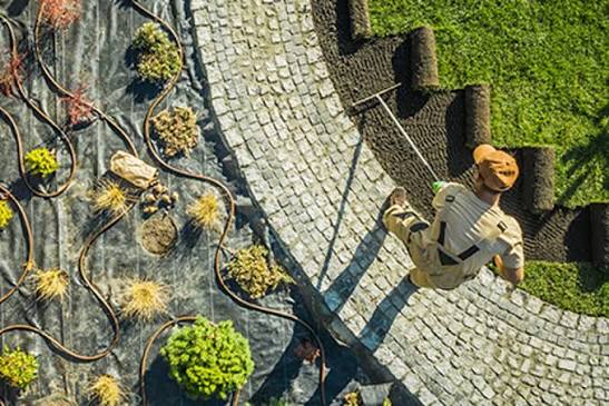Best Lawn Care Service Tips For A Lush Green Yard